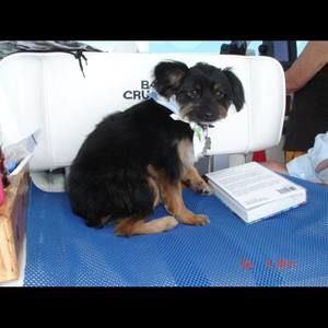 Meet your Posher, James